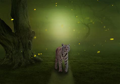 Tiger Prowl Mixed Media By Richard Bryant Fine Art America