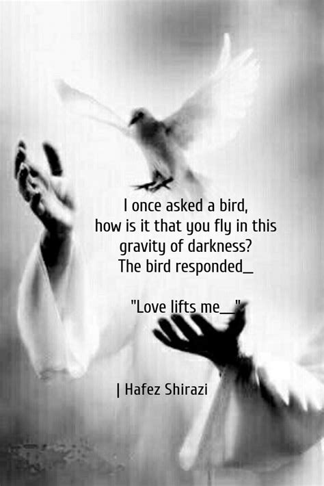 Hafiz I Once Asked A Bird How Is It That You Fly In This Gravity Of Darkness The Bird