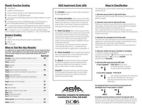 American Spinal Injury Association Asia Impairment Scale Physiopedia