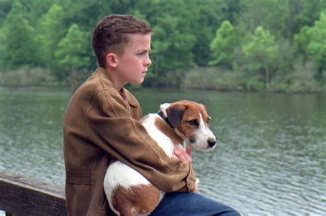 We did not find results for: Best animal movies and pet movies for kids and families