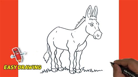 Donkey Easy Line Drawings How To Draw Donkey Step By Step Easy