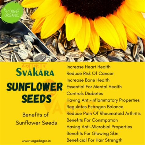 14 Amazing Health Benefits Of Sunflower Seeds
