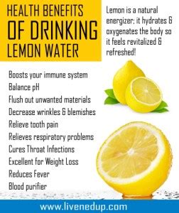 Berikut ini beberapa manfaat minum air lemon hangat sebelum tidur, seperti dilansir laman genpi.co. JUS HERBA 5 -JUS MINUMAN KESIHATAN: JUS HERBA 5