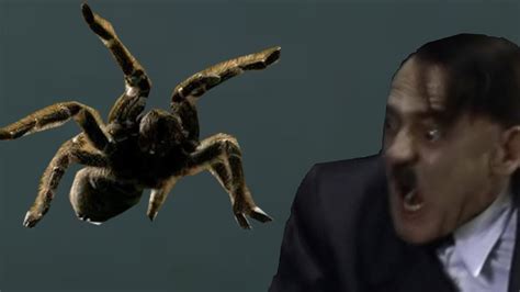 How many people are affected by arachnophobia? Hitler is scared of spiders - YouTube