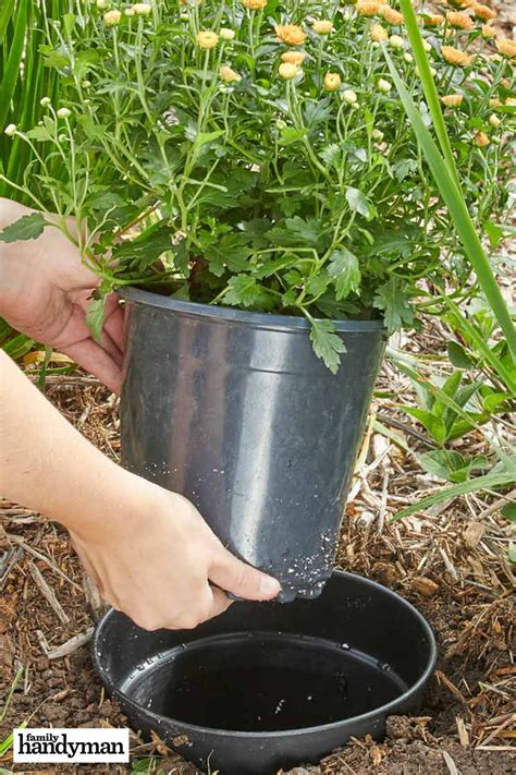 24 genius gardening hacks you ll be glad you know landscaping tips herb garden design easy