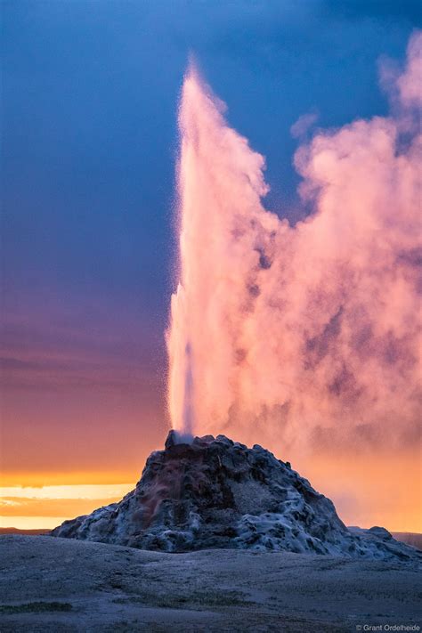 White Dome Geyser Yellowstone National Park Wyoming Grant