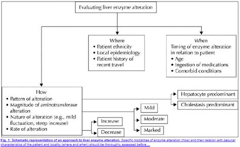 Elevated Liver Enzymes Chart