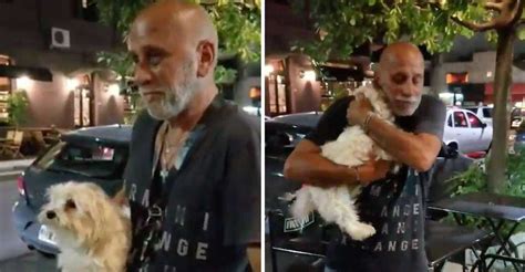 El Emotivo Reencuentro De Un Hombre Con Su Perro Fue Grabado Por Su