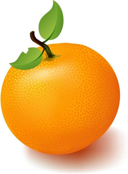 Orange Free Vector In Adobe Illustrator Ai Ai