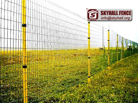 Euro Fencing Hebei Skyhall Fence Coltd