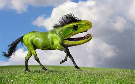 15 New Animal Species Bred In Photoshop Bored Panda