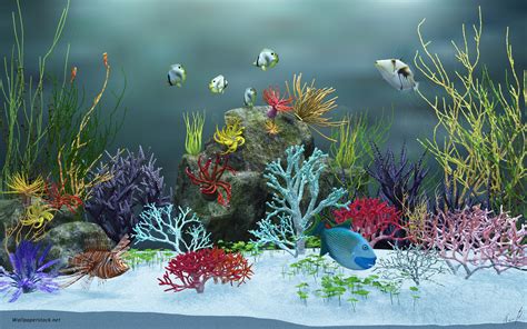 49 Free Animated Fish Aquarium Wallpaper