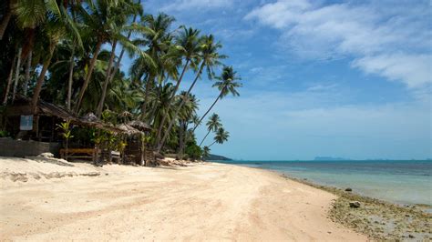 Koh Samui Strandguide Die Schönsten Strände Der Insel