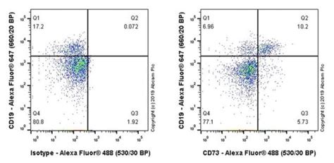 Results For Cd73 Abcam Antibodies Proteins Kits