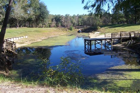 No experience dixie county, fl Guaranto Spring (Dixie County, FL) | Paul Clark | Flickr