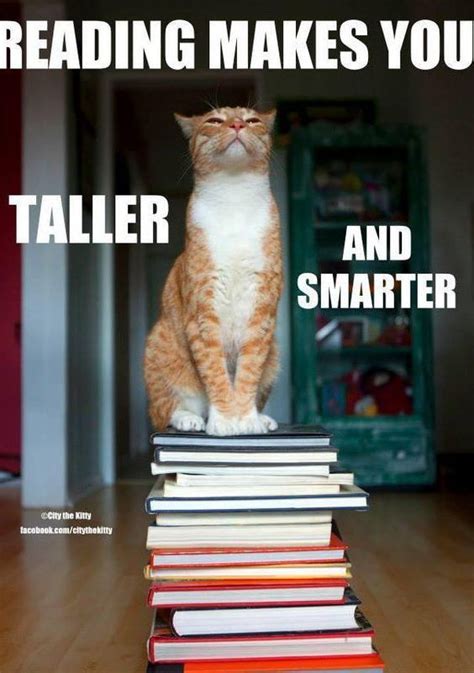 Think of a unique phrase or sound you can use to get your cat to come.4 x research source. Reading makes you taller and smarter | Cat books, Book ...