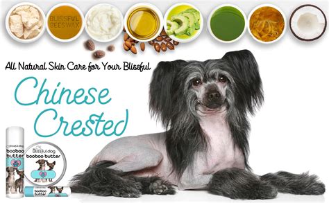Chinese Crested Skin Care Combo For Dry Noses Paws The Blissful Dog