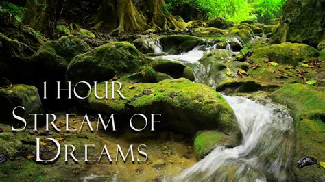 Meditative Nature Sounds Stream Of Dreams Mindful Energy Soothing
