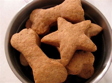 Homemade Healthy Dog Treat Recipes · How To Cook Pet