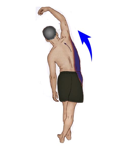 How To Stretch Your Quadratus Lumborum Ql With Images Muscle My XXX