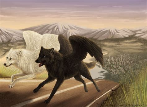 Winged Wolf Animation Animaux Animal Fantastique Images Loup