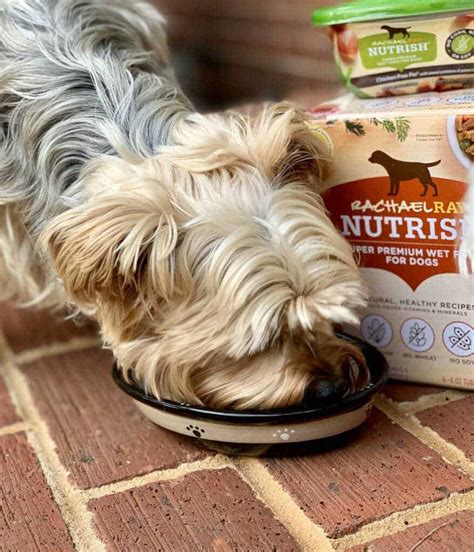Medium bags of dry food from any nutrish line cost $15 to $30. Rachael Ray Nutrish Super Premium Wet Dog Food Review ...