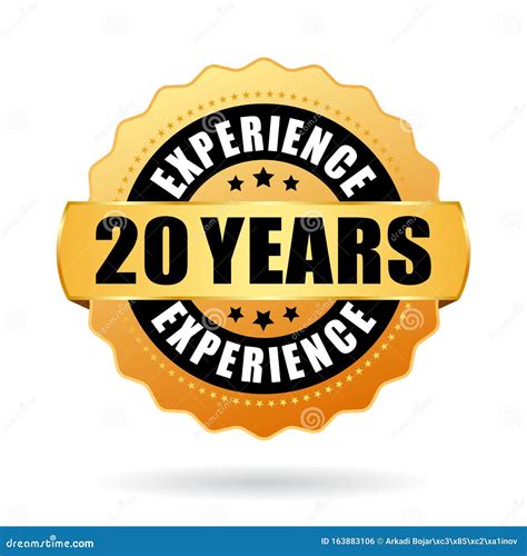 20 Years Experience Vector Badge Stock Vector Illustration Of