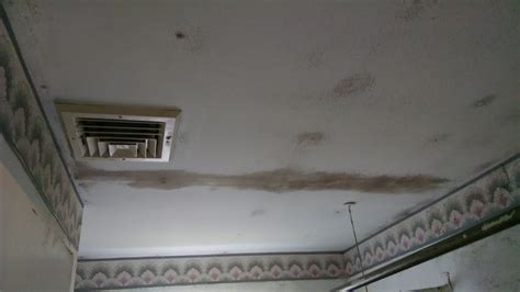 This used to involved bleach, but this method isn't as safe nor as effective as more modern options. 100 Pictures of Mold in the Home