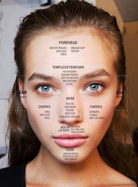Face Mapping Your Acne What Your Breakouts May Be Skin Care Skin