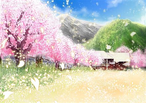 Cherry Blossom Anime Wallpapers Wallpaper Cave