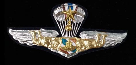 Royal Thai Army Freefall Parachutist Wings Badge Pin Thailand Military