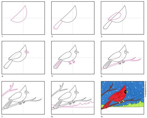 How To Draw A Cardinal · Art Projects For Kids