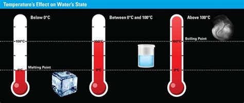 Section 4 Temperature Affects The State Of Matter Section