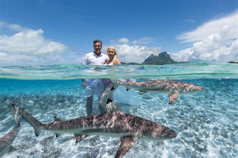 Bora Bora Full Day Aquatic Photo Tour And Resort Shooting