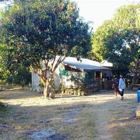 It is different from aquaculture. farm house , lovely view of cuyapo nueva ecija , fish pond ...