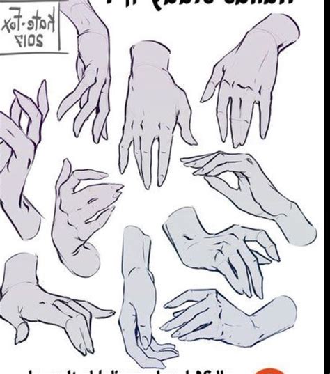 Pin by Amanda Johnson on Drawing | Hand drawing reference, Drawing