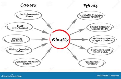 Obesity Causes And Effects Stock Illustration Illustration Of