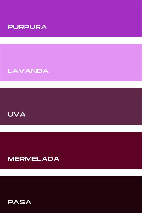 colores violetas colores gamas de colores paletas de colores