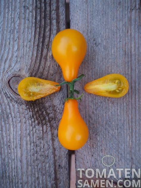 Tomatensamen Tomate Orange Pear 10 Samen Saatgut Kaufen
