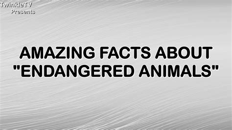 Factopedia Amazing Facts About Endangered Animals Youtube