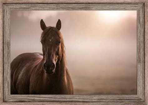 Horse Wall Art Framed Horse Art Oversize Wall Art Western Etsy