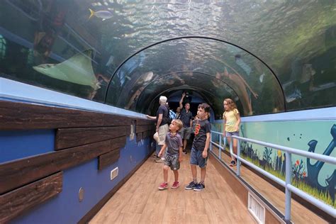 4 Aquariums In Wales That Kids Are Shore To Love