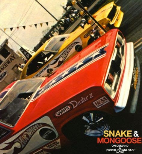 Snake Vs Mongoose Drag Racing Cars Car Humor Nhra Drag Racing