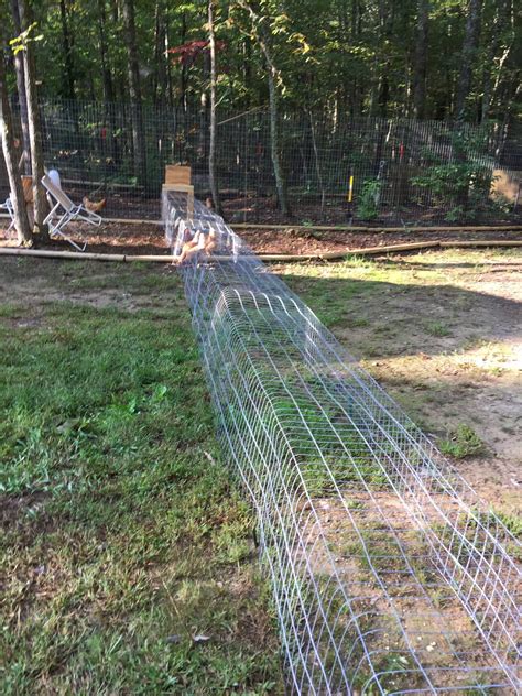 How do i keep my neighbor's chickens out of my if you want to keep chickens out in the garden while making your yard more attractive, plant shrubs. Chicken Tunnel | BackYard Chickens - Learn How to Raise ...