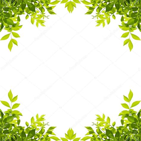 Green Leaf Border Isolated On White Background — Stock