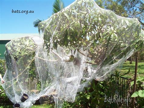 Feb 02, 2019 · fruit trees; Netting | Fruit tree
