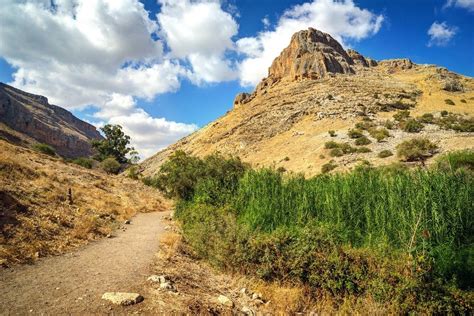 Hiking Through The Holy Land Israels National Trail • Expert Vagabond