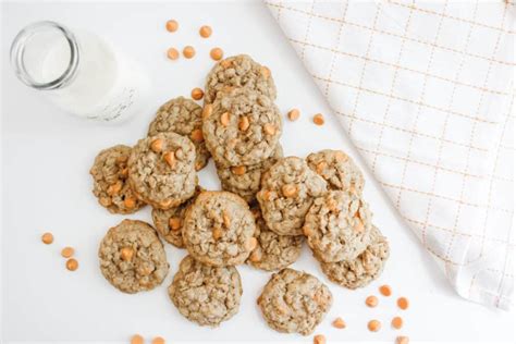 Quaker Oats Cookie Recipe Under Lid Dandk Organizer