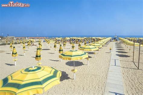 Al foah takes pride in its organic. La Spiaggia di Zadina Pineta in corrispondenza ... | Foto ...