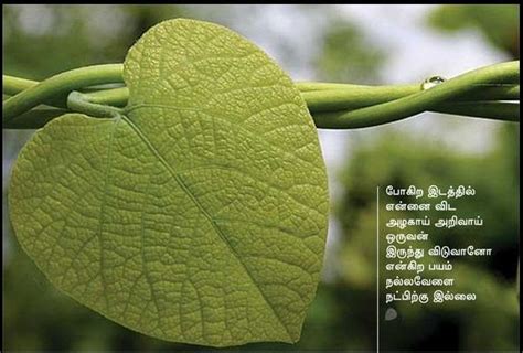 Here you can get friendship quotes in our tamil language. Tamil Friendship Quotes With Images || Beautiful Images ...